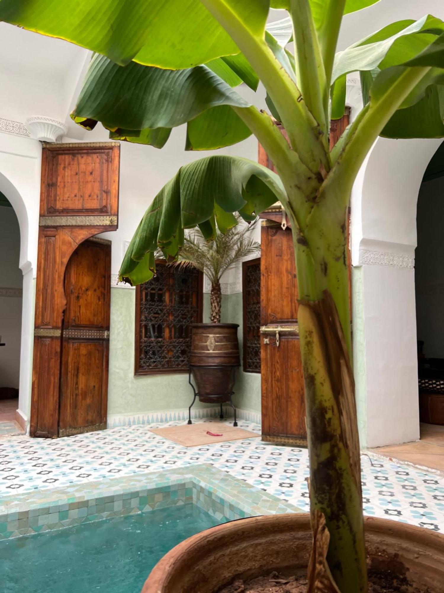 Villa Panthera, Medina *