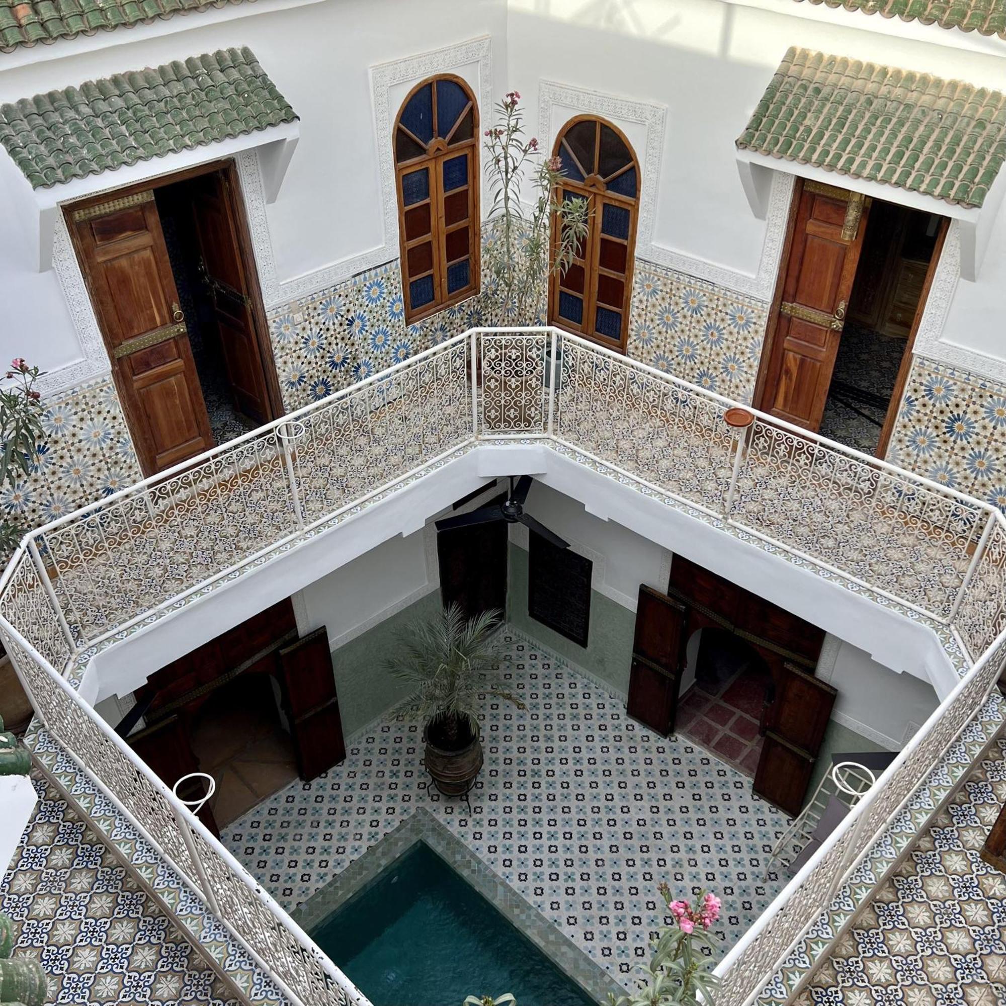 Panthera, Medina Marrakesh