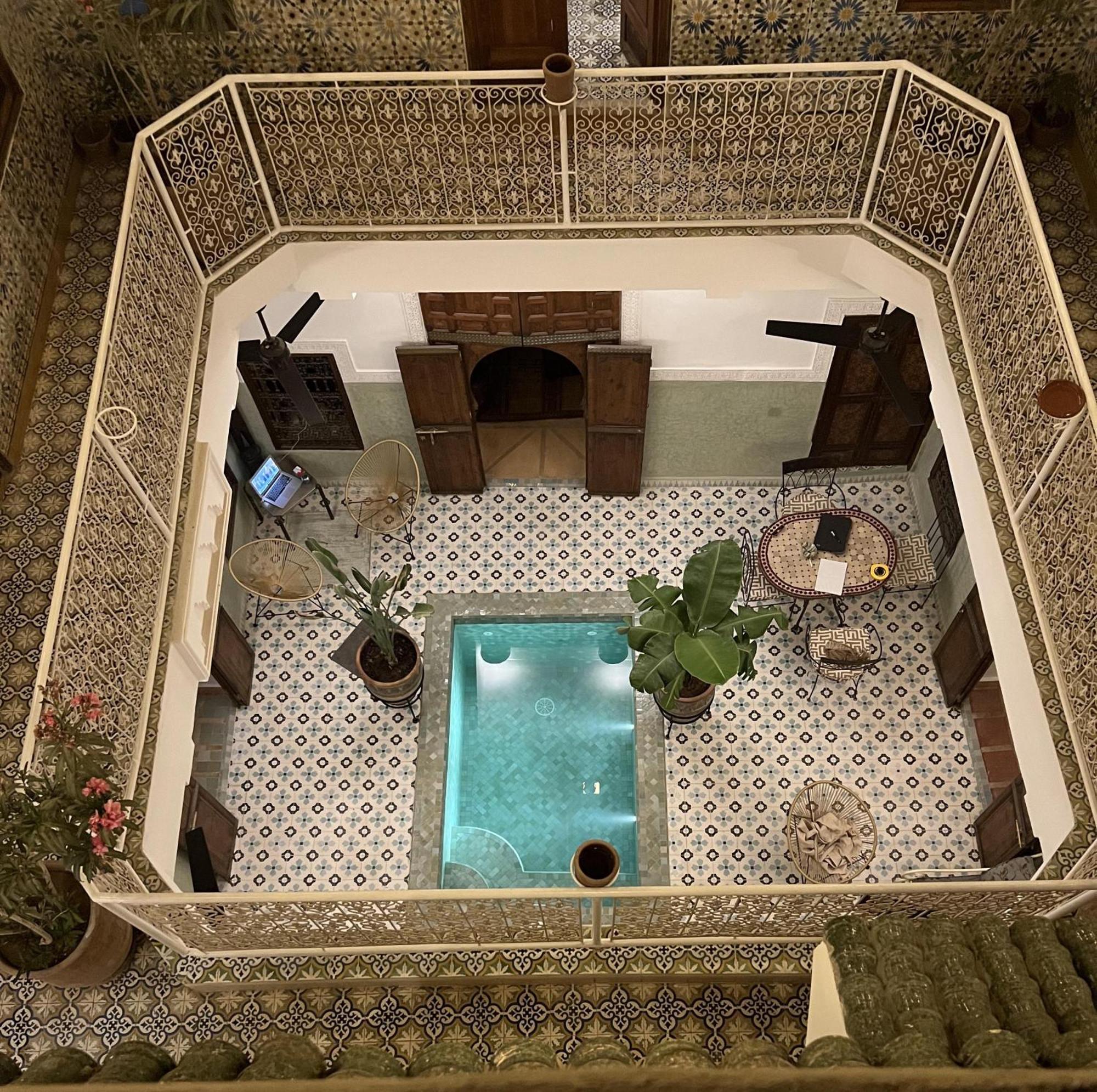 Panthera, Medina * Marrakesh