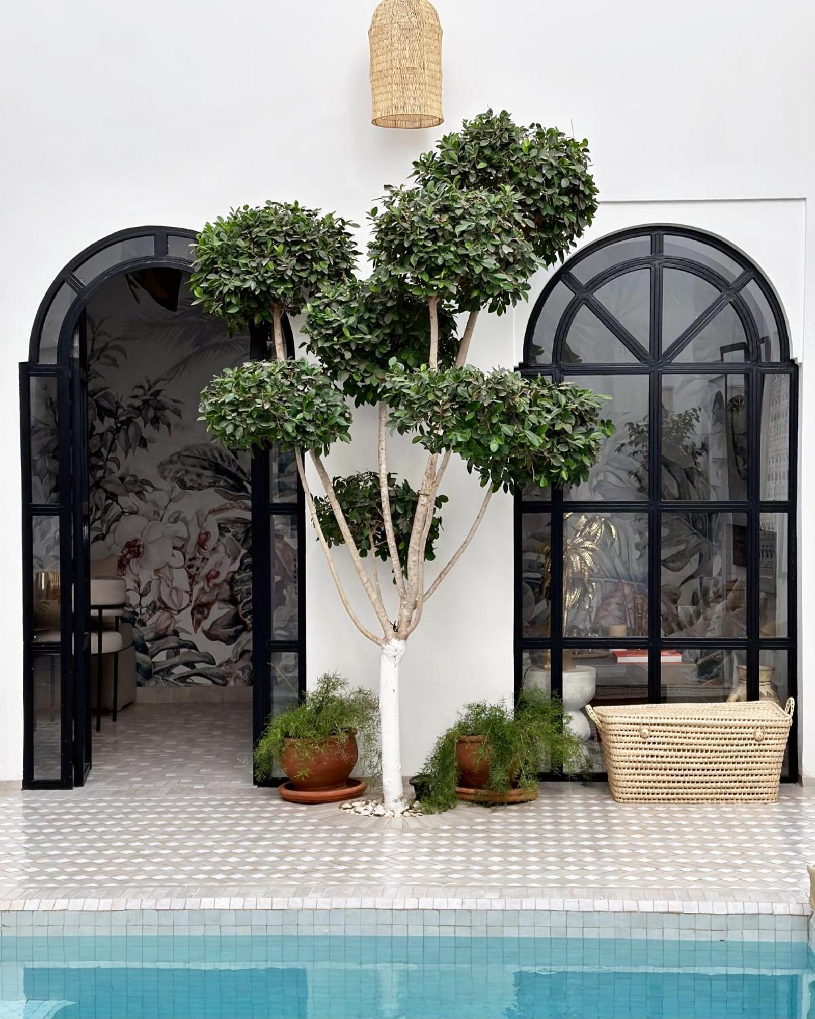Riad Jalma