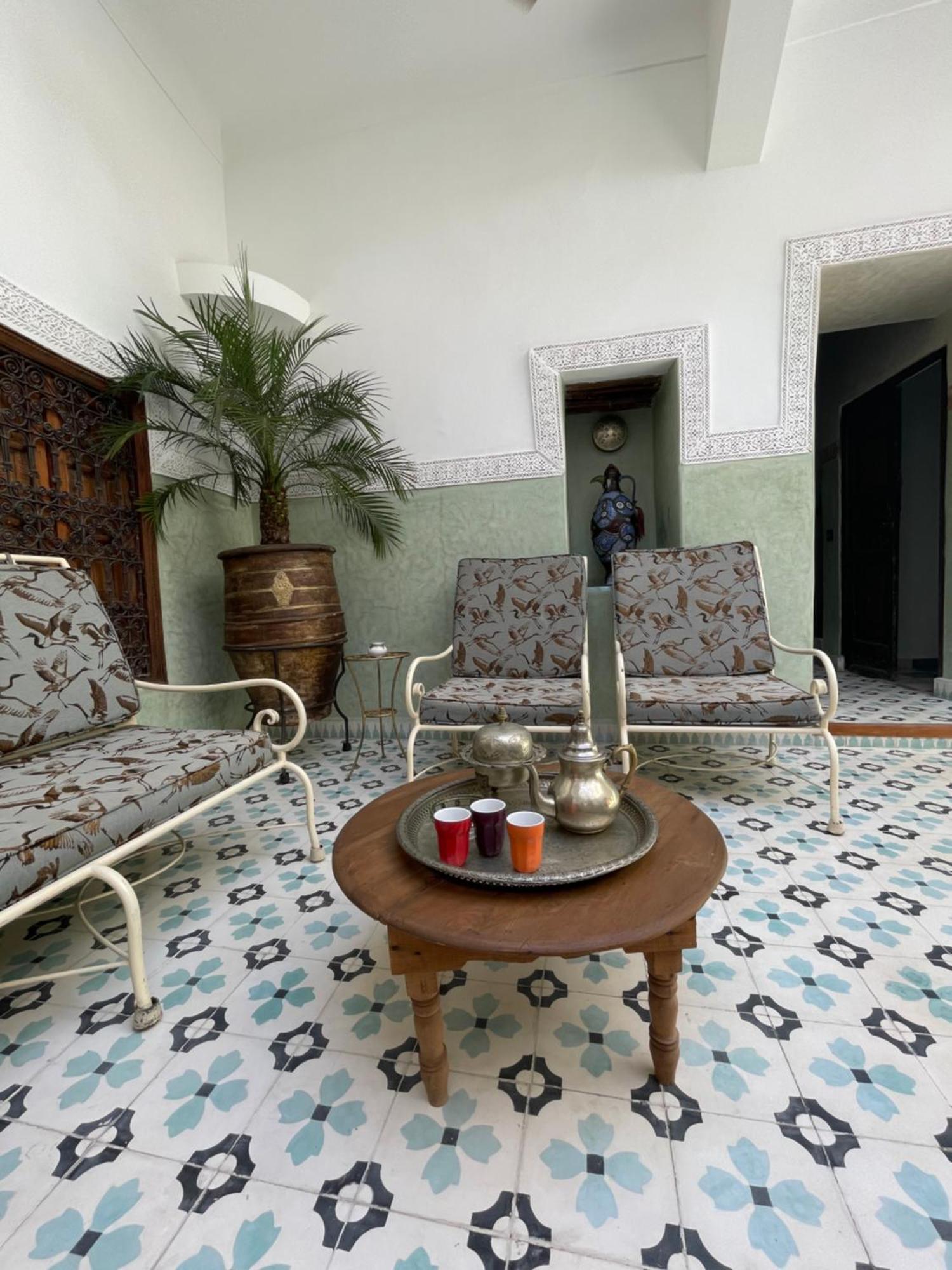 Panthera, Medina * Marrakesh