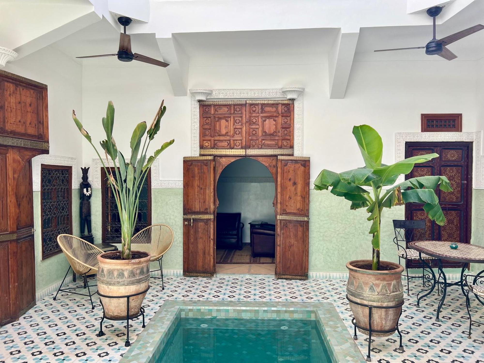 Panthera, Medina Villa *