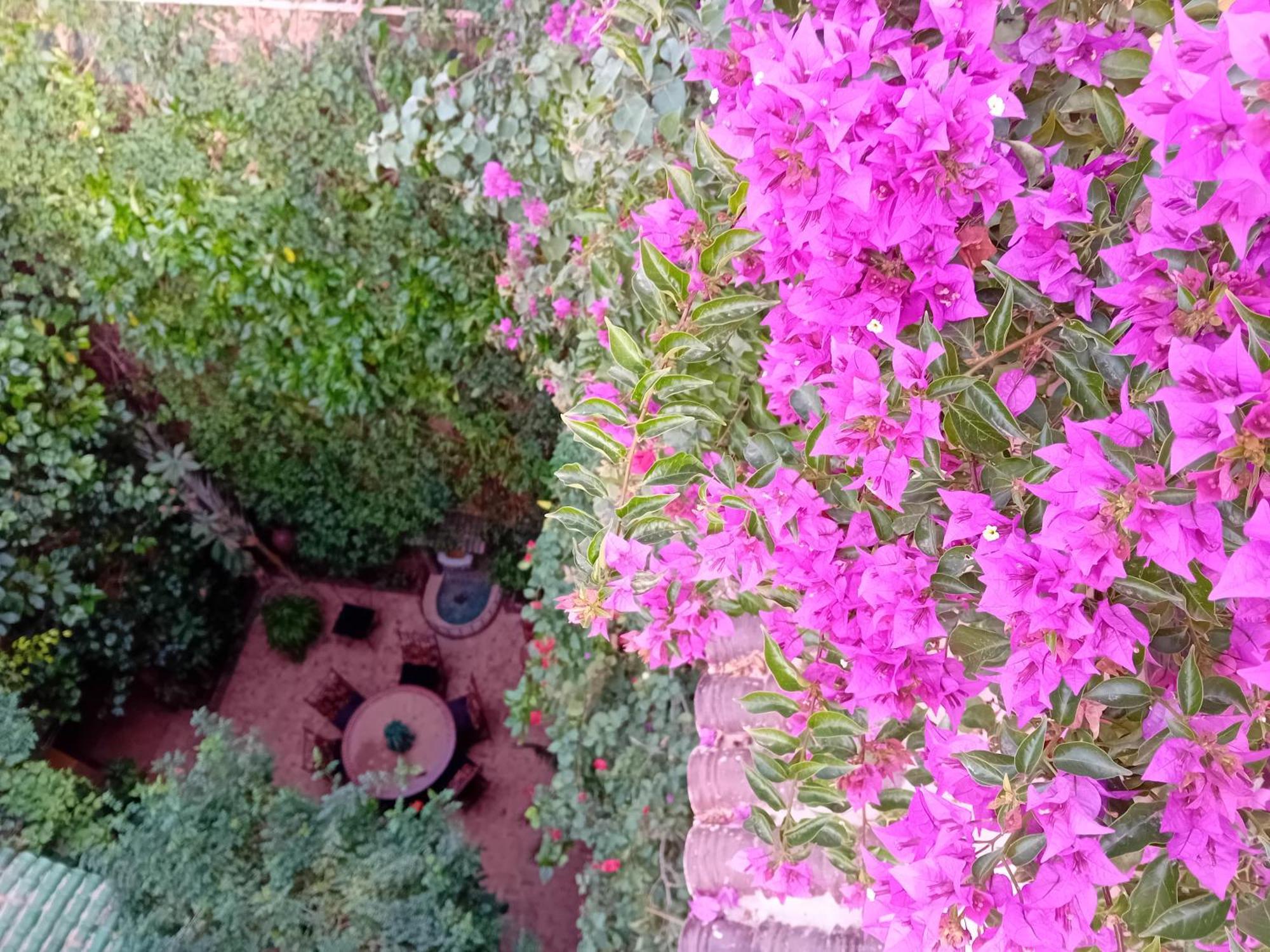 Lumieres Du Sud * Marrakesh