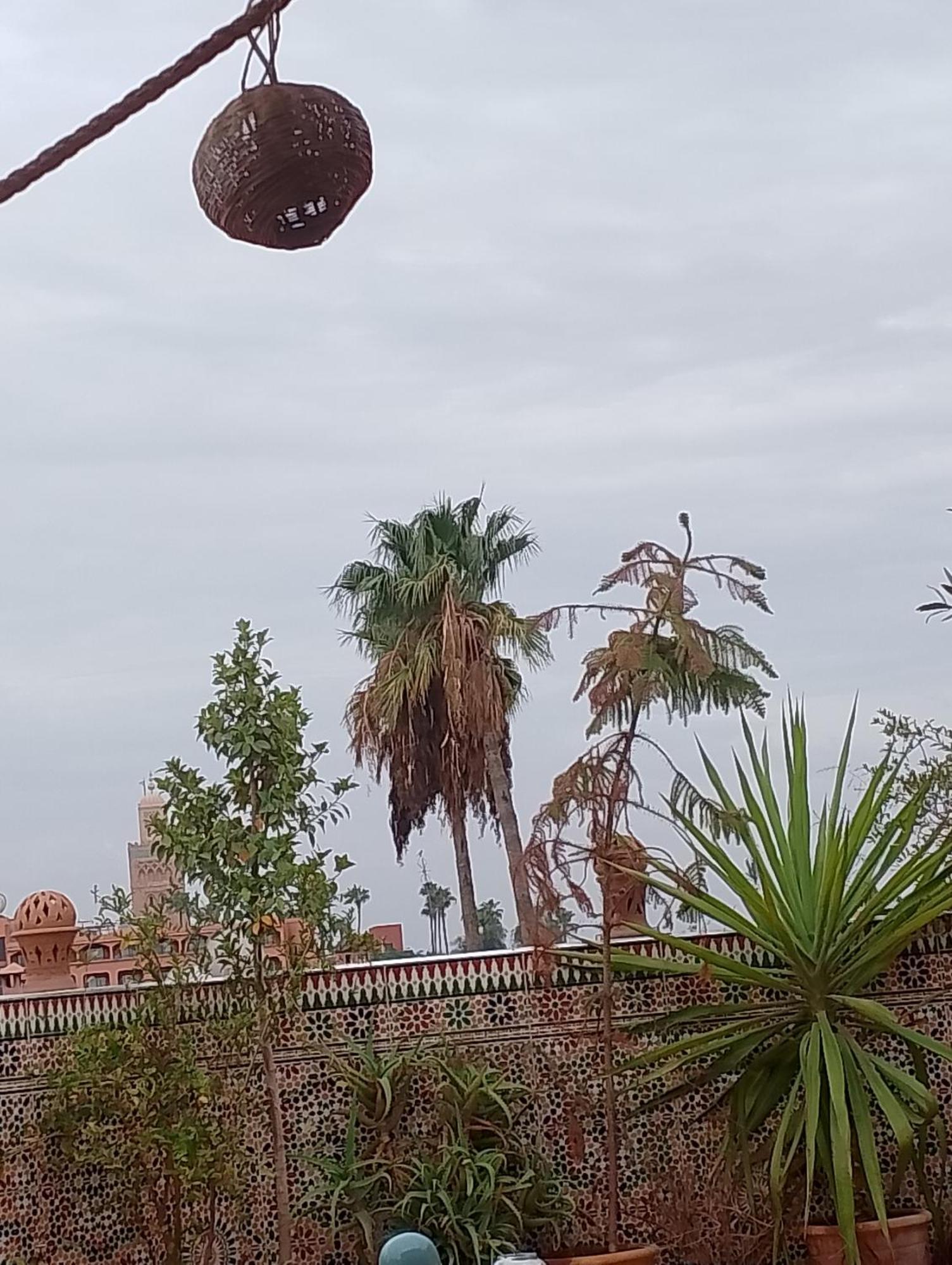 Riad Falafel Rooftop House Marrakech Marrakesh