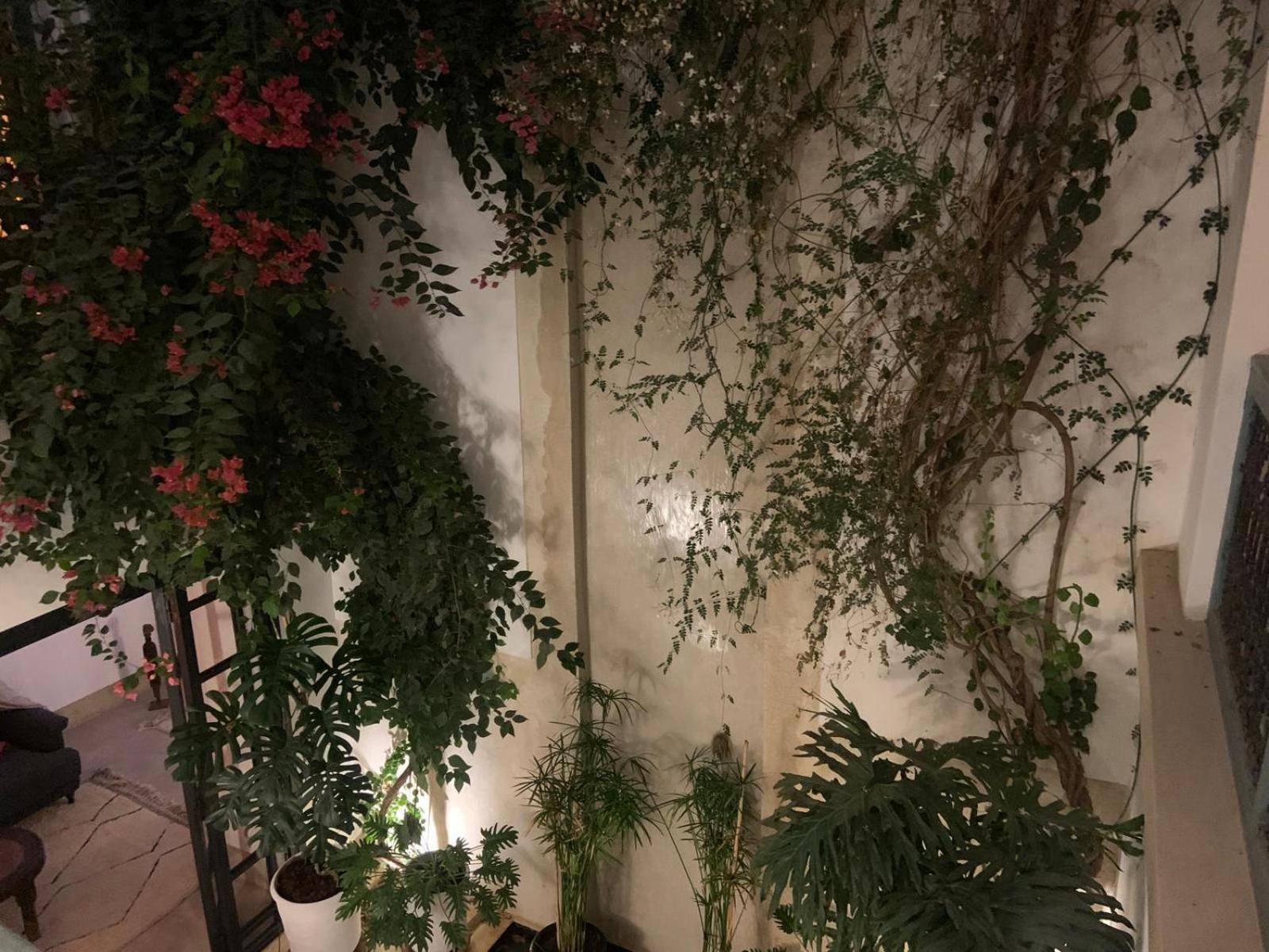 Le Petit Pacha * Marrakesh