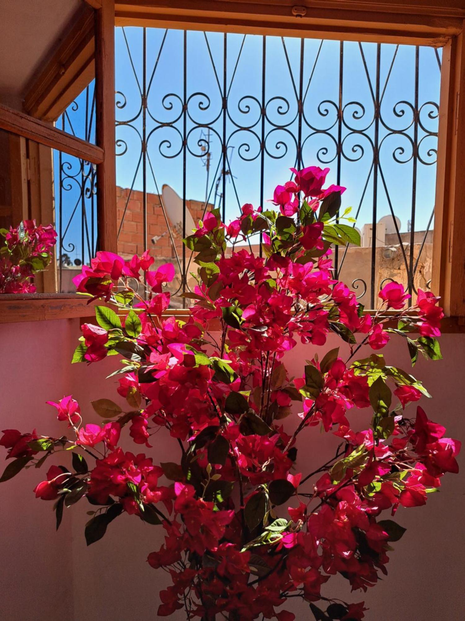 Riad Falafel Rooftop House Marrakech *