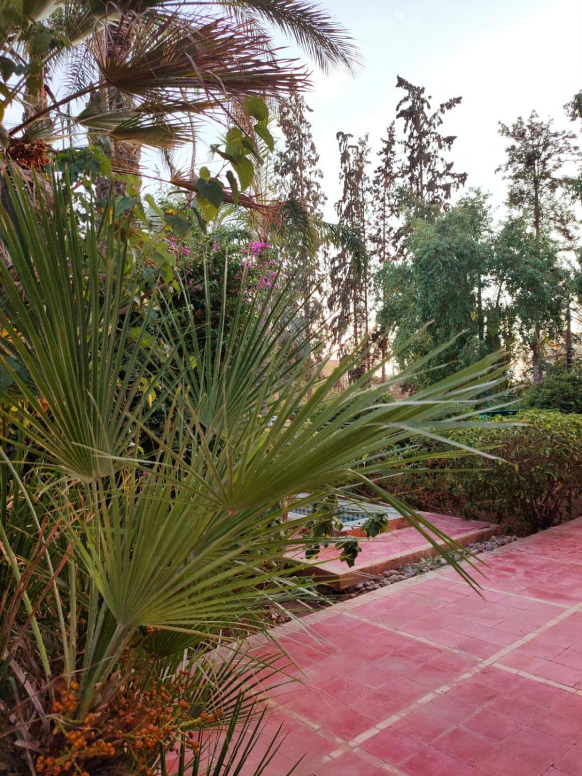 Sheherazade Marrakech Gasthuis