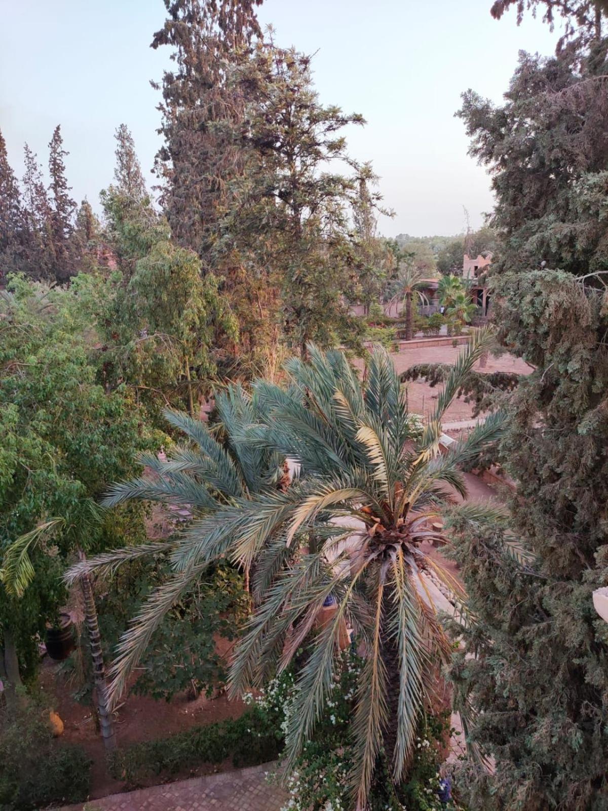 Maison d'hôtes Sheherazade Marrakech