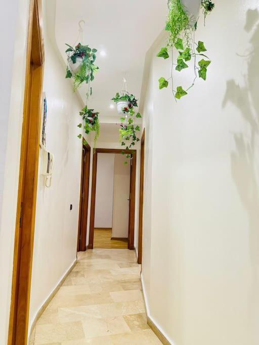 Apartment Cosy House Marrakech Semlalia - Gueliz Center Marrakesch