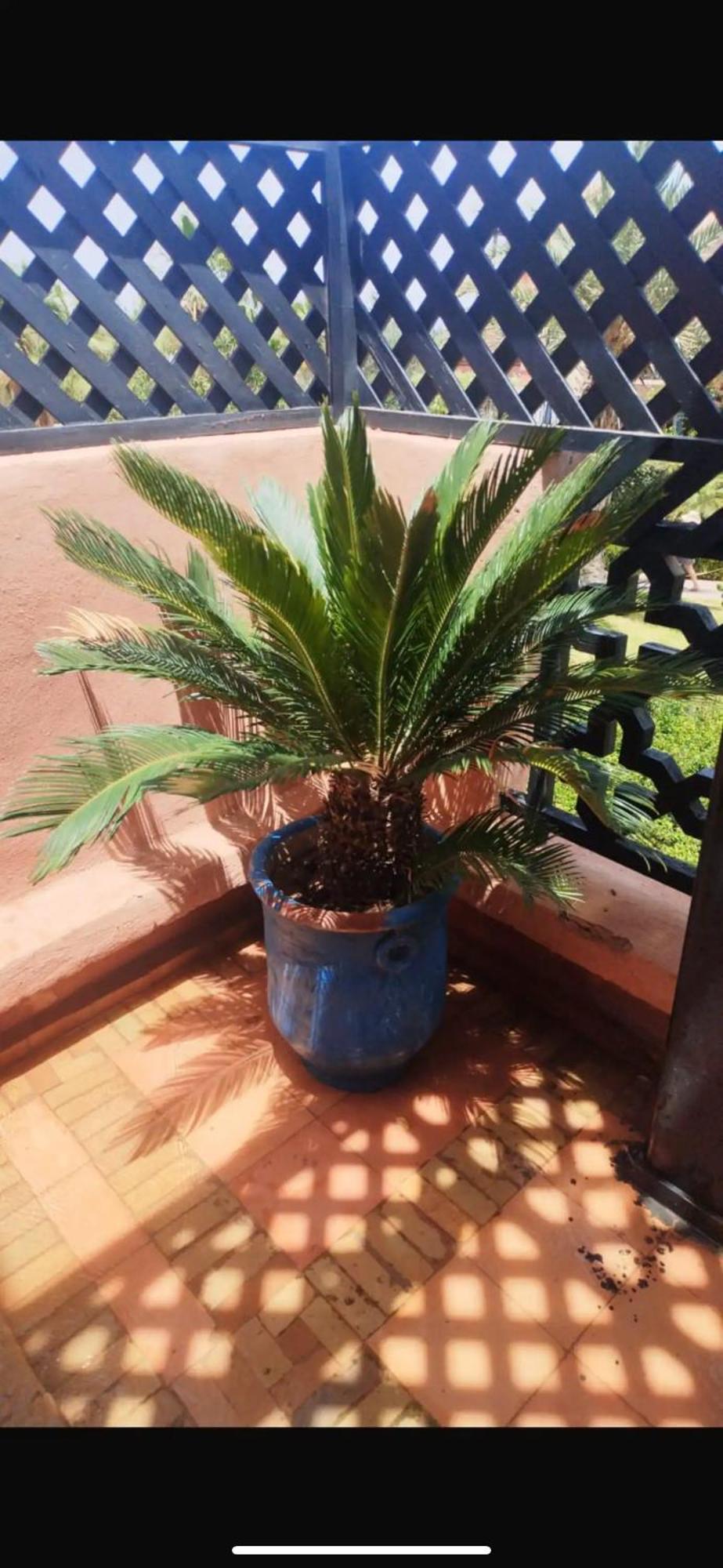 Tres Joli A Atlas Golf * Marrakesh