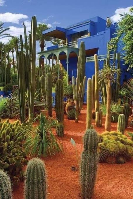 Jardin Majorelle Apartment