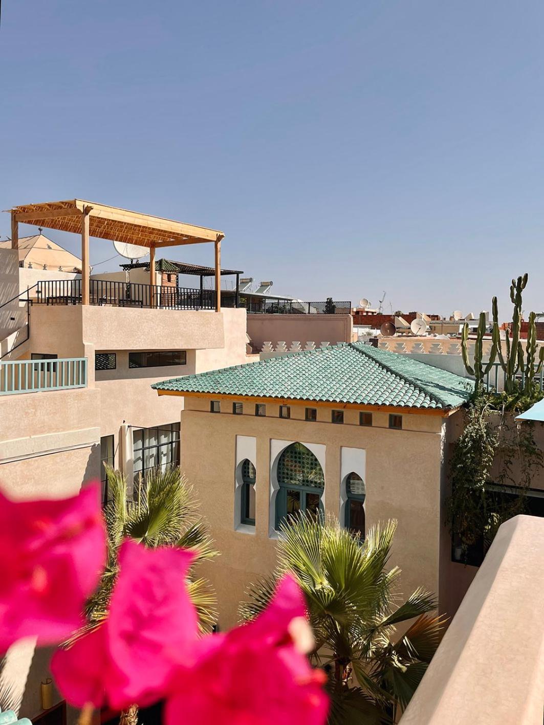 Lion Rouge Marrakesh