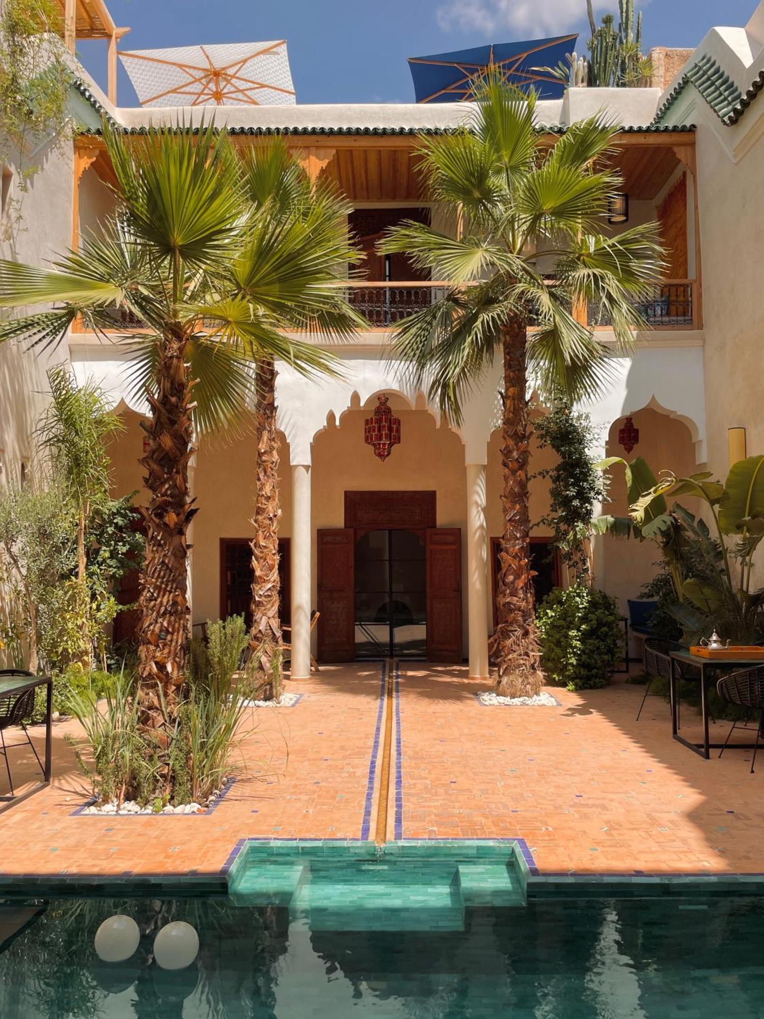 Lion Rouge * Marrakesh
