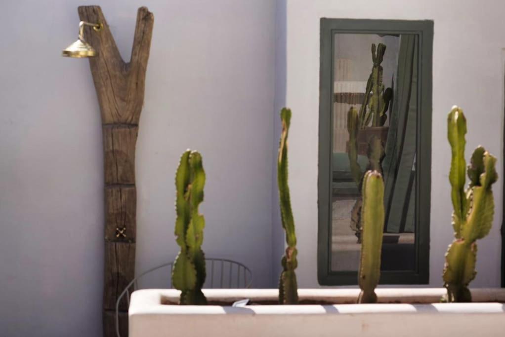 Riad Louisa Spa, And Pool Appartement Marrakesh
