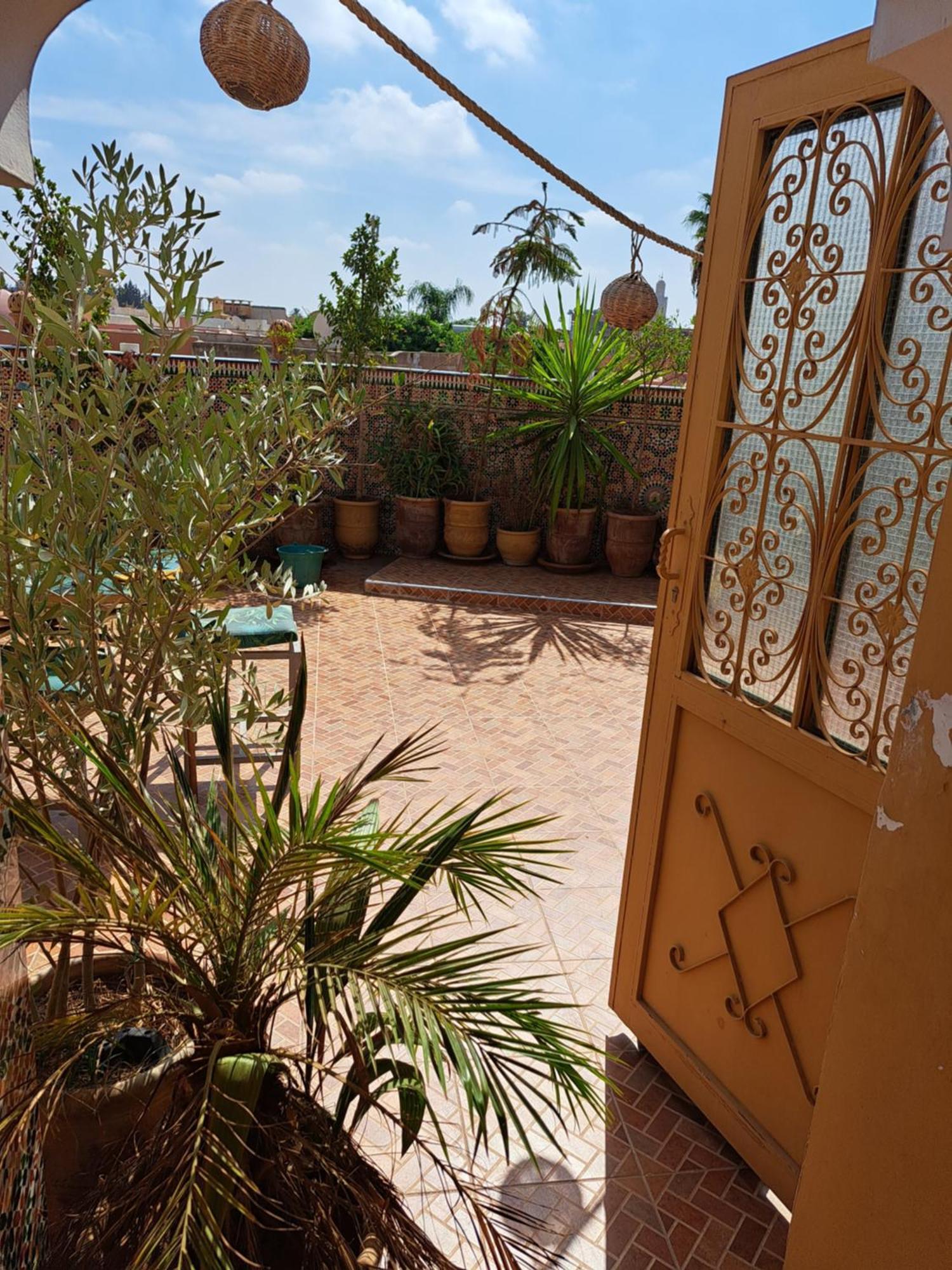 Riad Riad Rooftop Terrace Green House *
