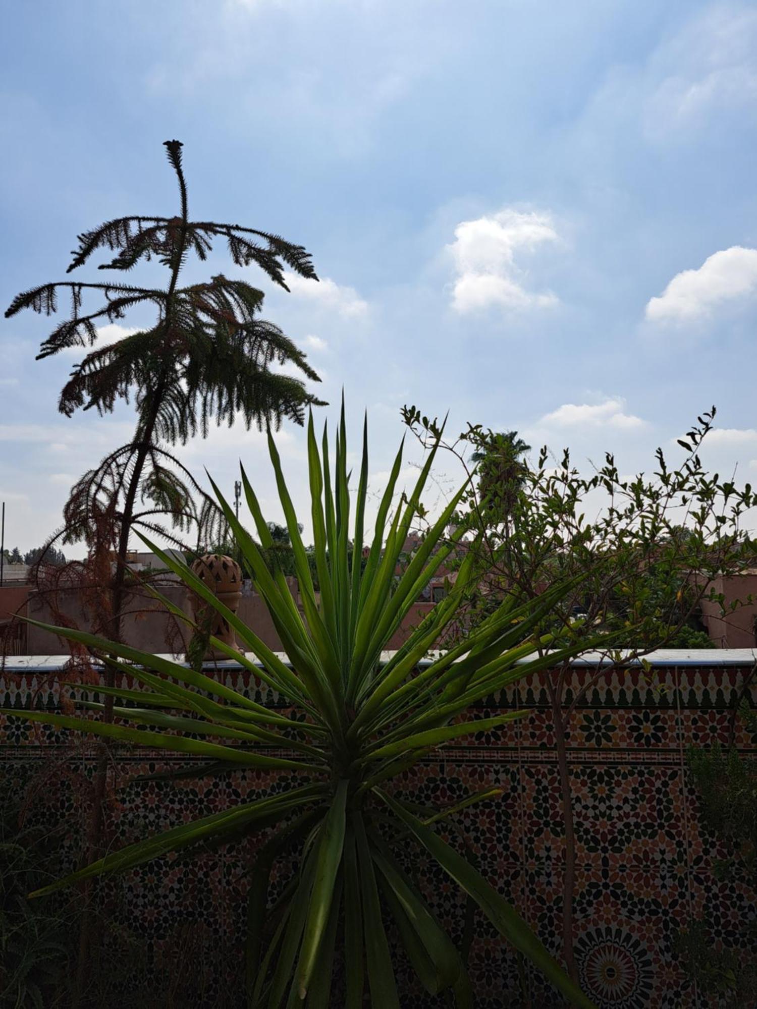 Riad Rooftop Terrace Green House