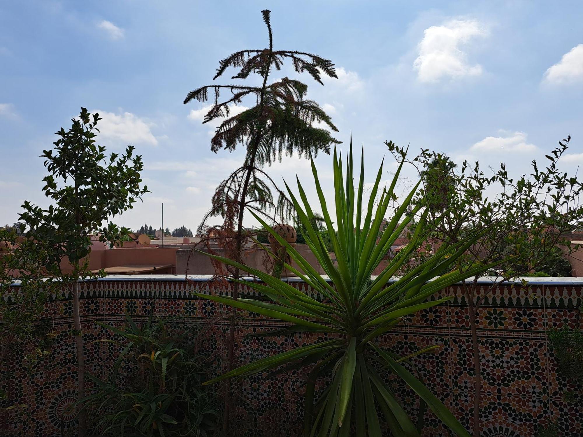 Riad Riad Rooftop Terrace Green House