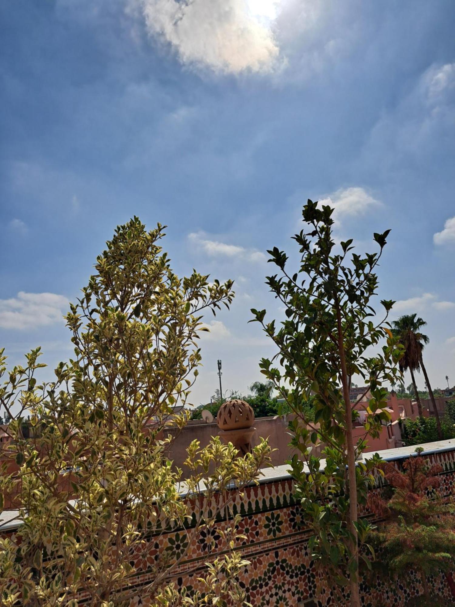 Riad Riad Rooftop Terrace Green House *