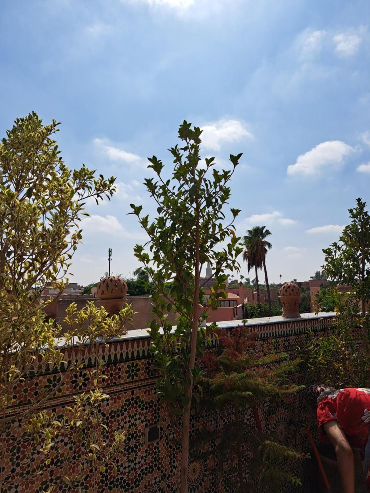 Riad Riad Rooftop Terrace Green House