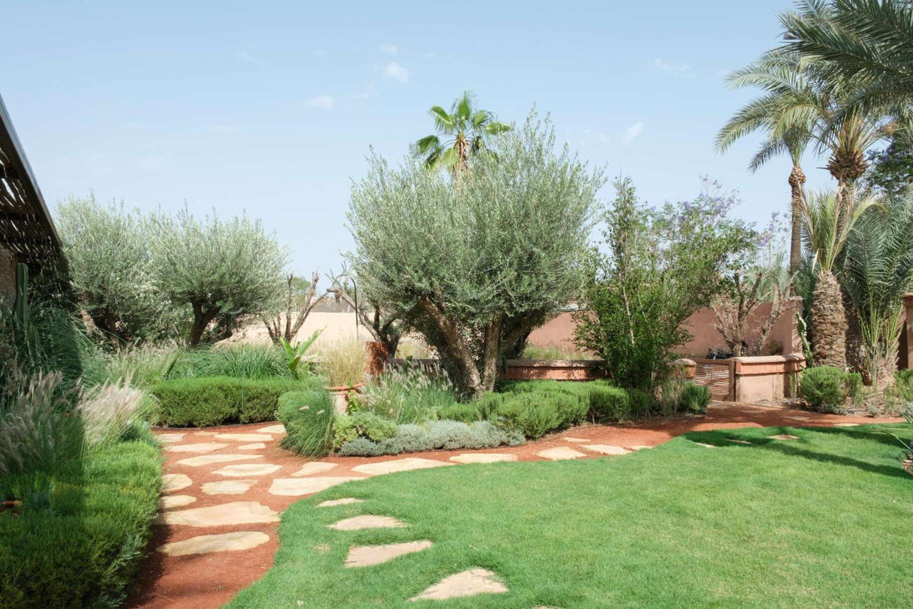 Saman * Marrakesh