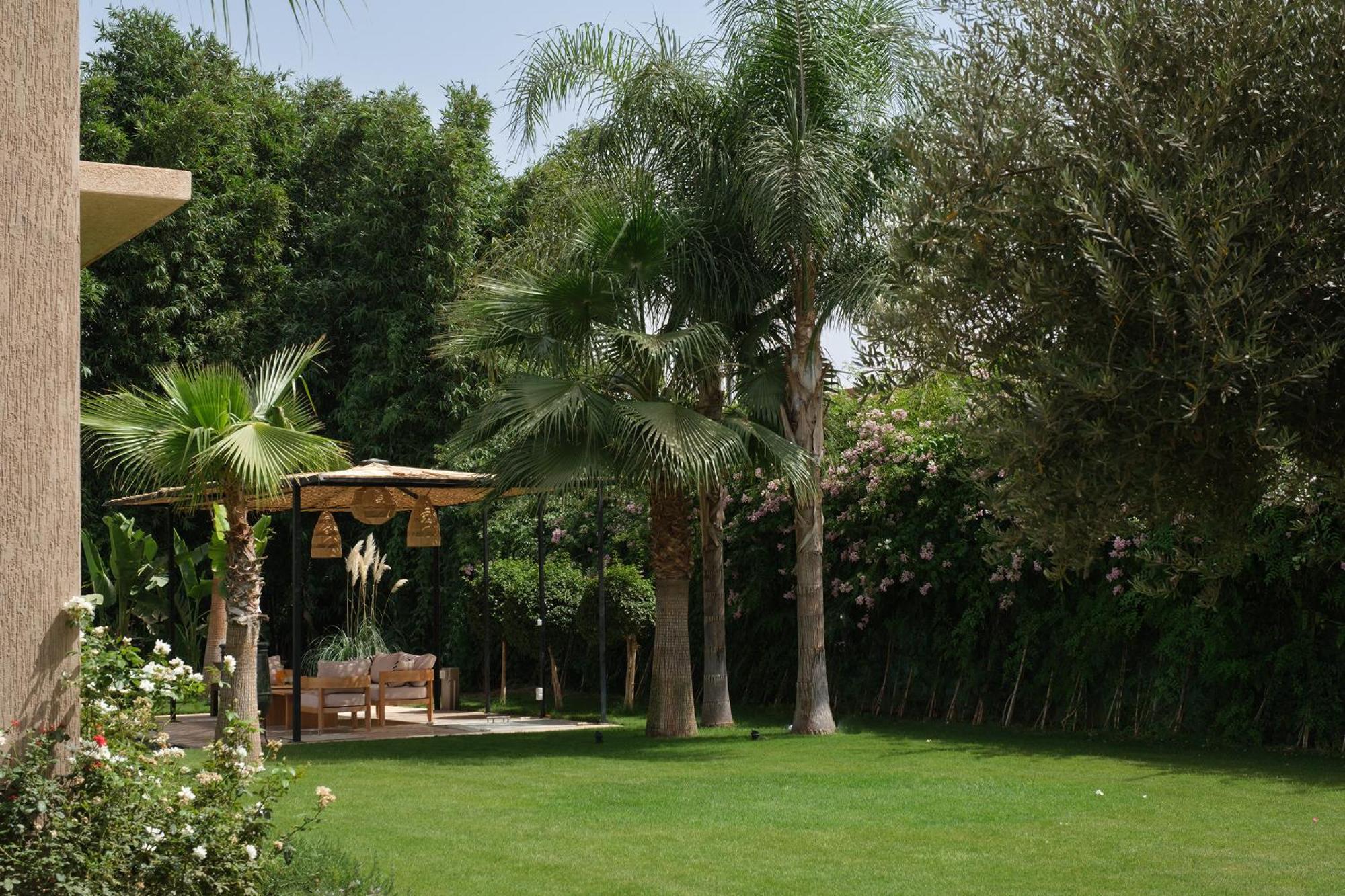 Netumia * Marrakesh
