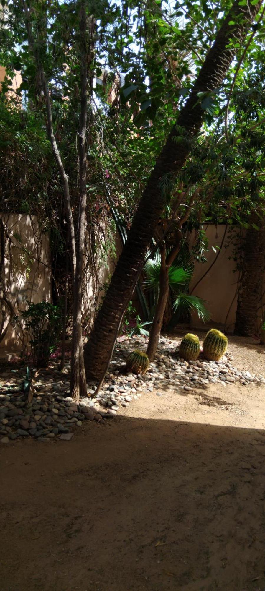Spins Gueliz Marrakesh