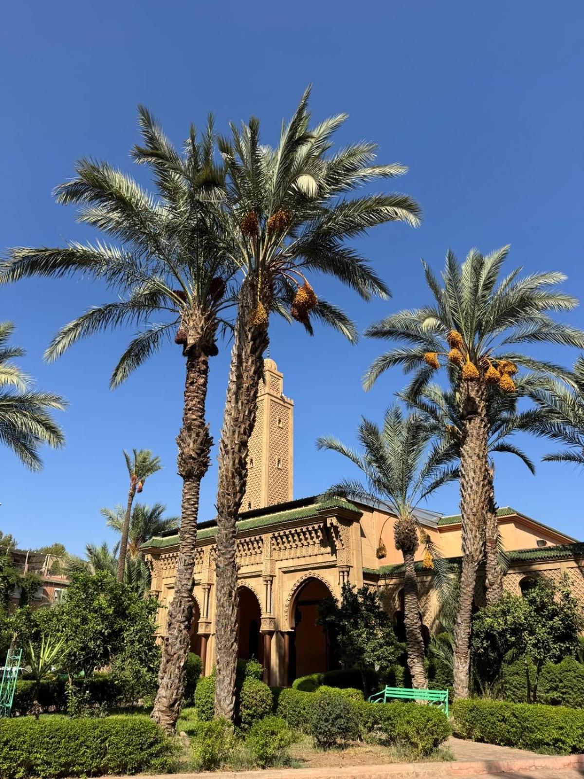 Dilia Marrakesh