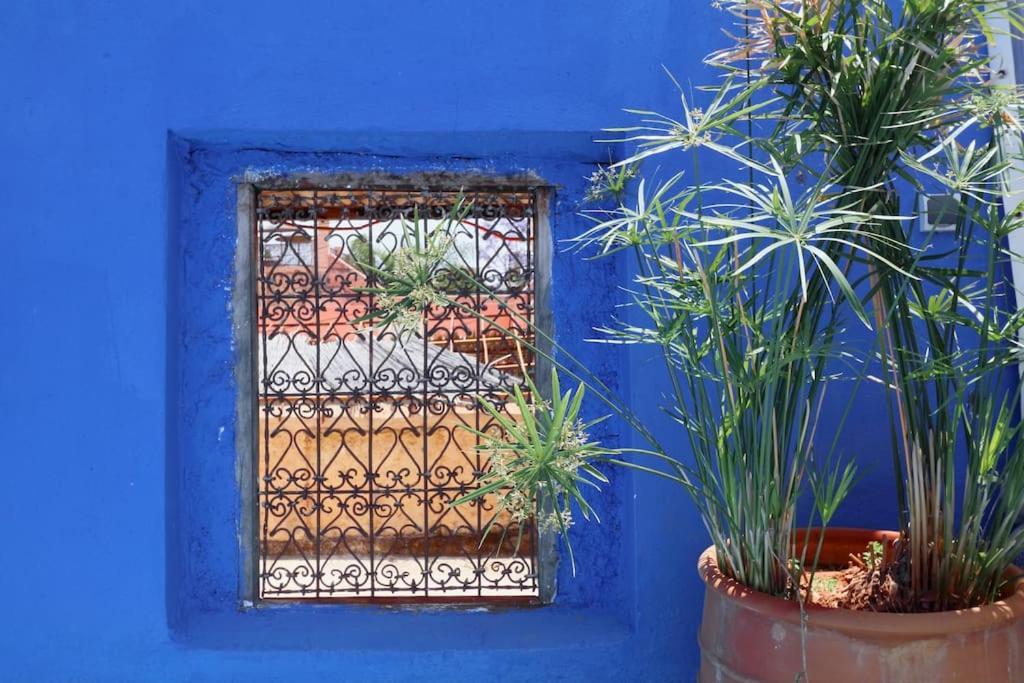 Vakantiehuis Haloma 90m2 In Der Medina Mit Terrasse