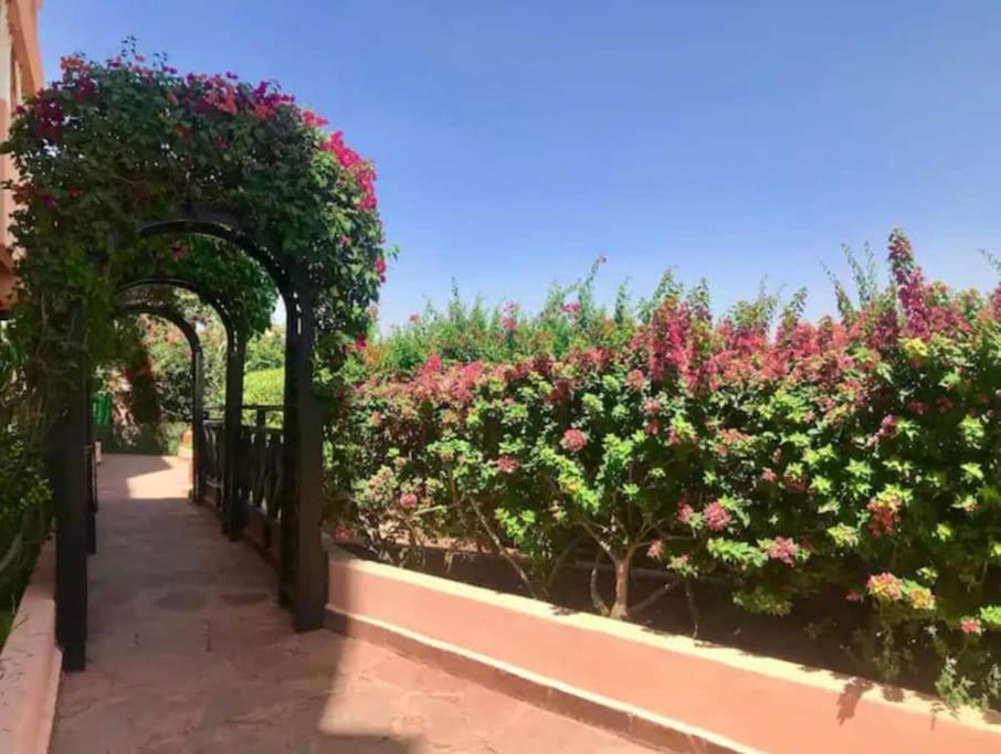 5 Piscine Fitness Appartement Marrakesh