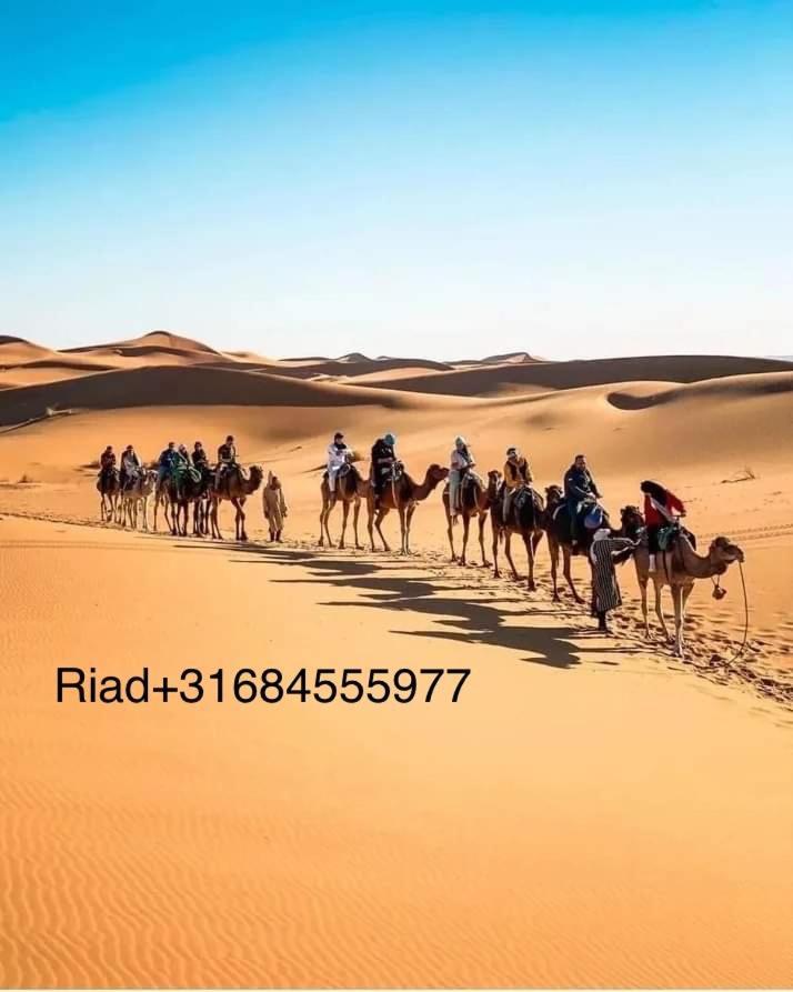 Riad Isabelle *