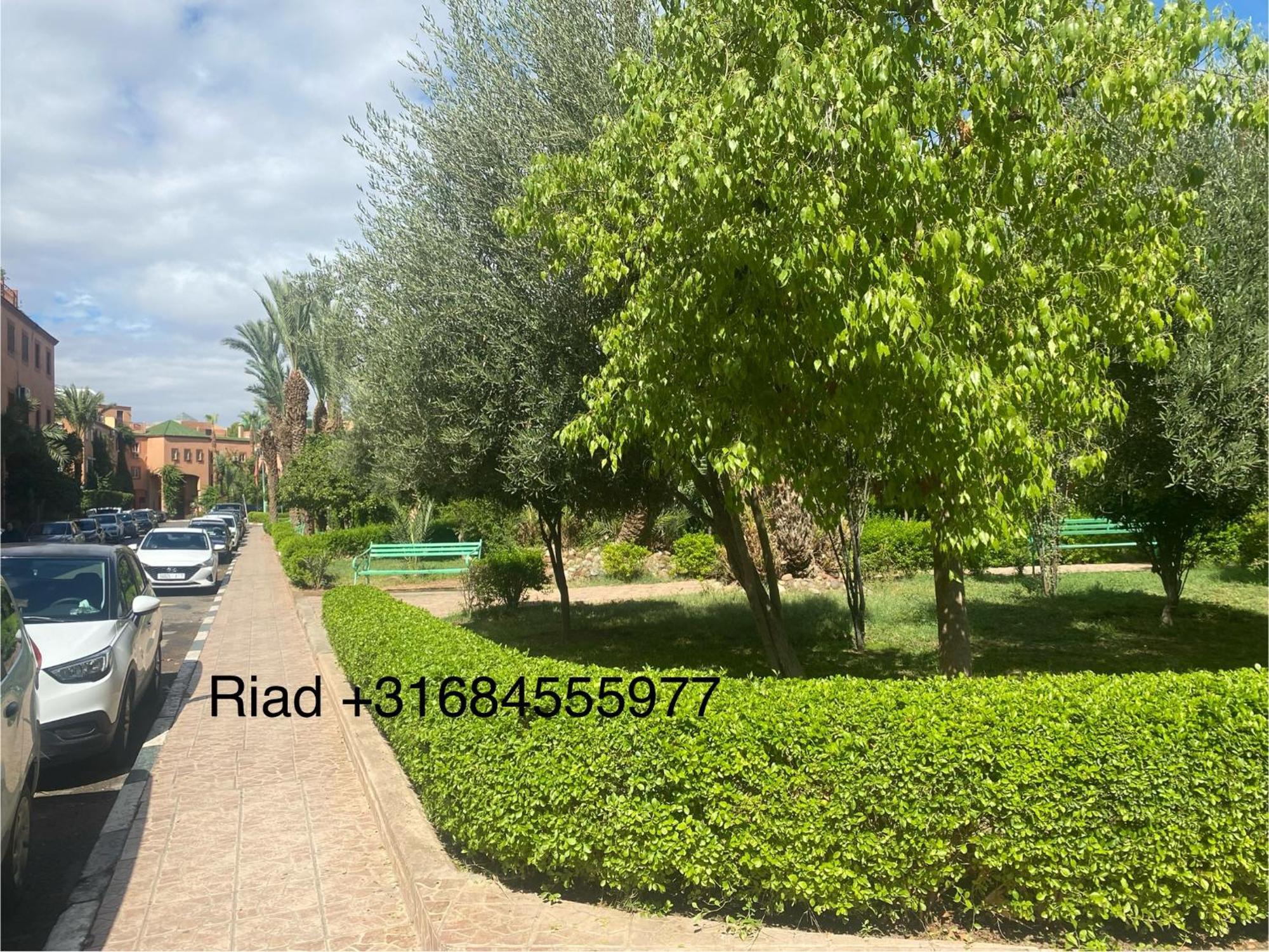Riad Isabelle *