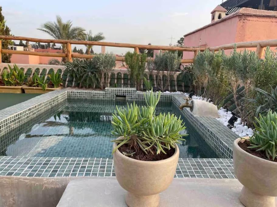 Ptit Kech, Bassin Terrasse - Petits Dejeuners *