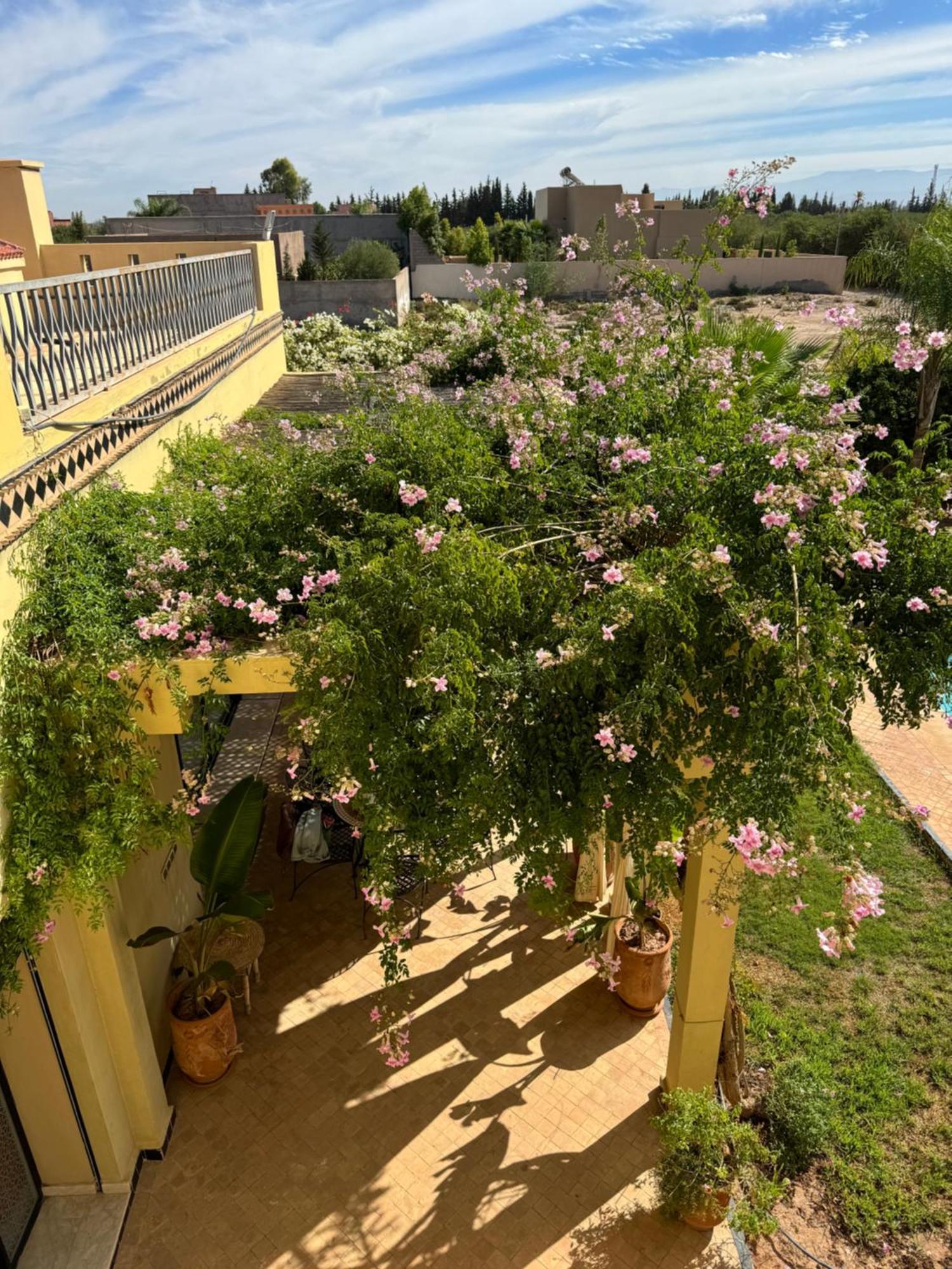 De Luxe Marrakech Villa *