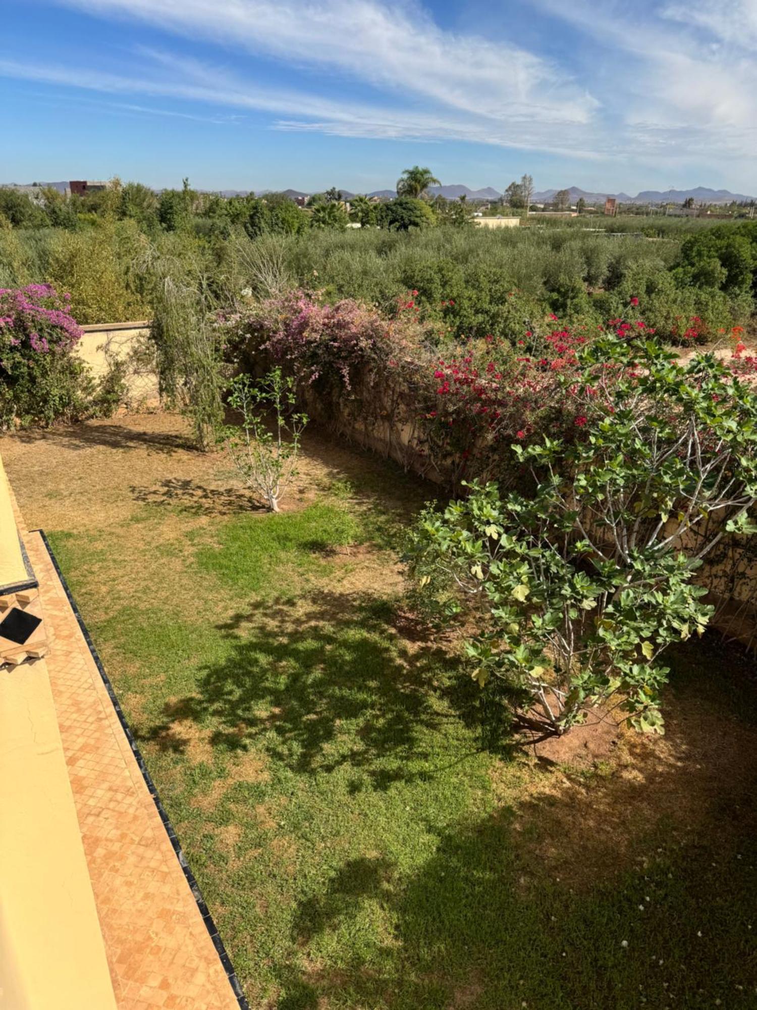 De Luxe Marrakech Villa Marrakesh