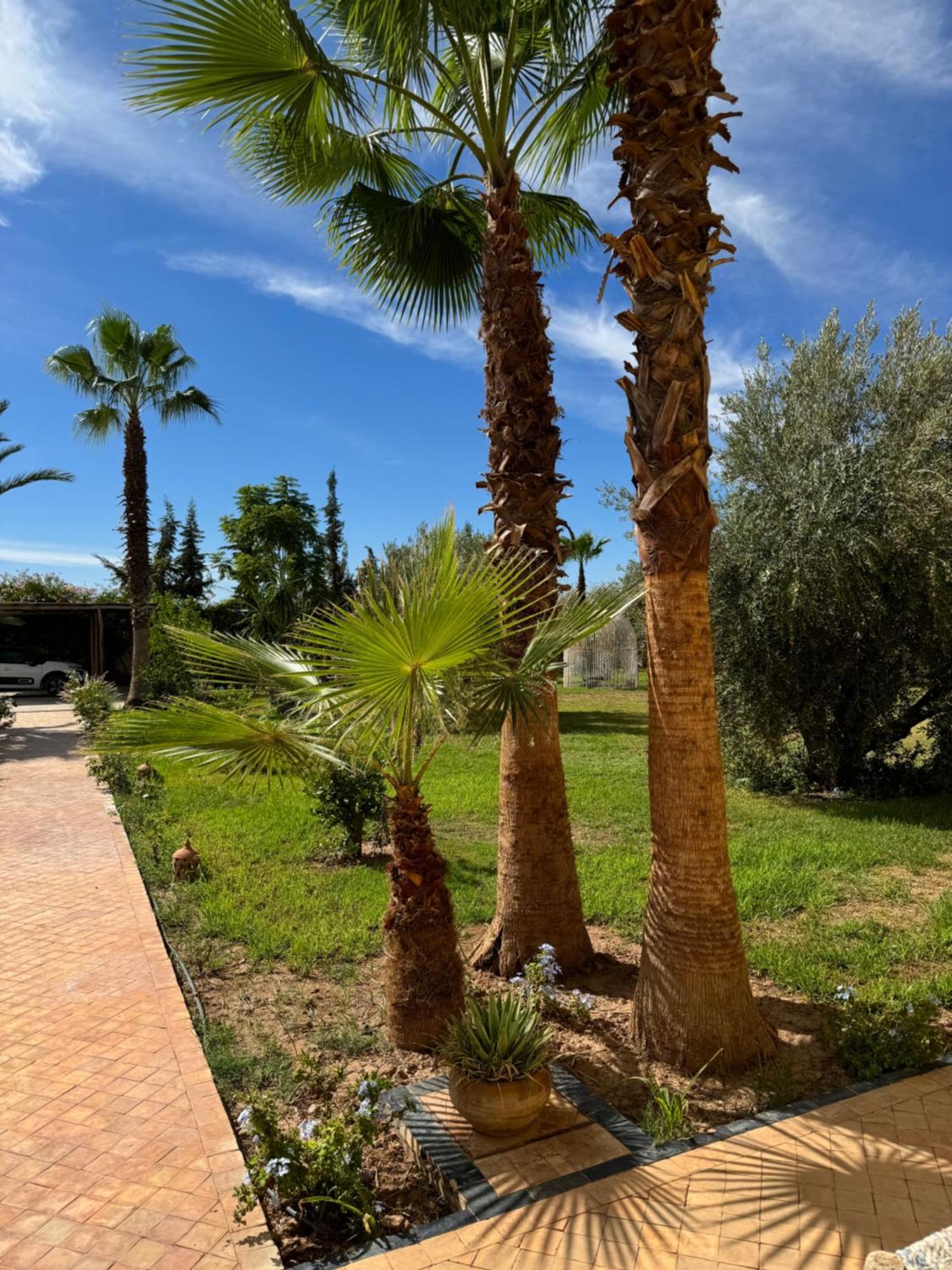 De Luxe Marrakech Marrakesh