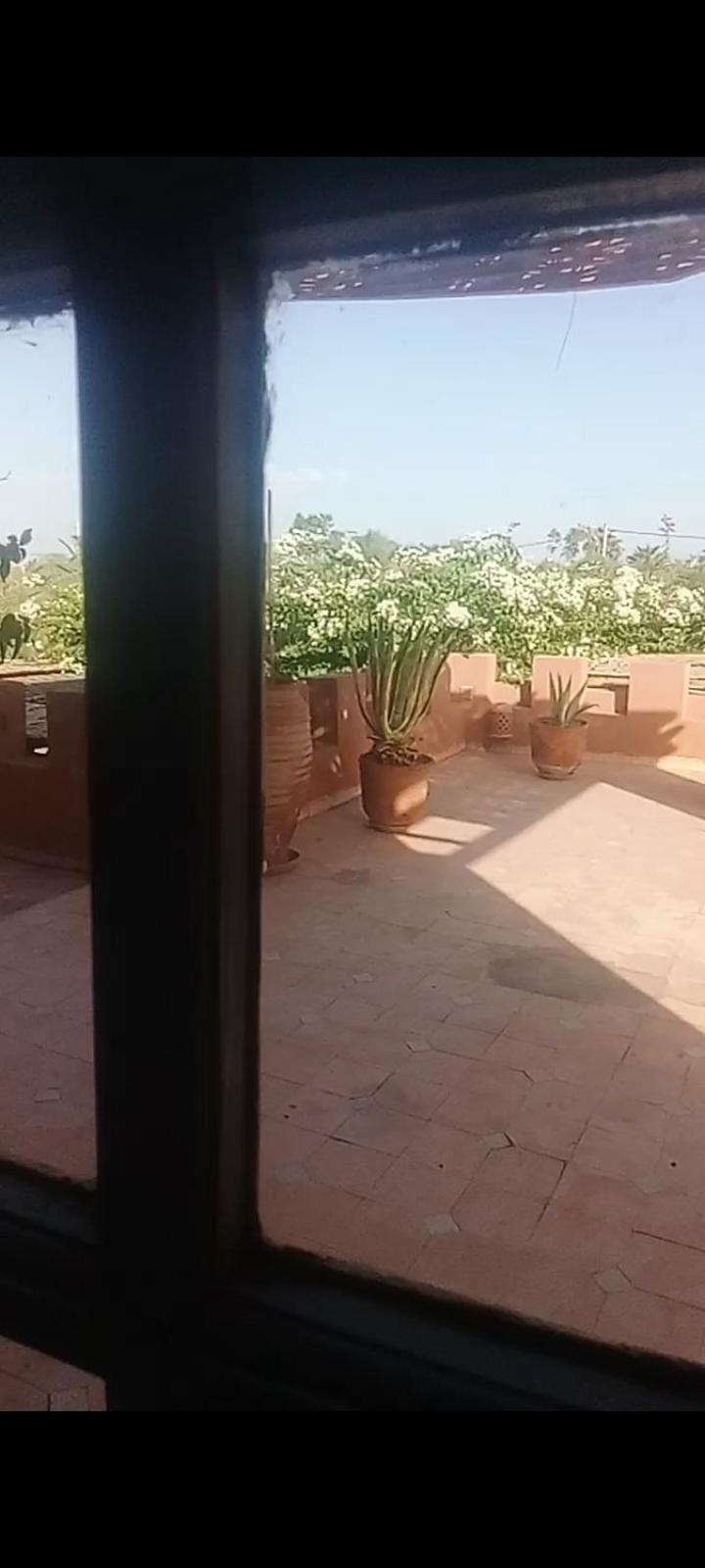 Farm stay Les Oliviers *