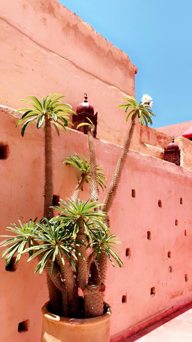 Habib Allah Emplacement Exceptionnel * Marrakesh