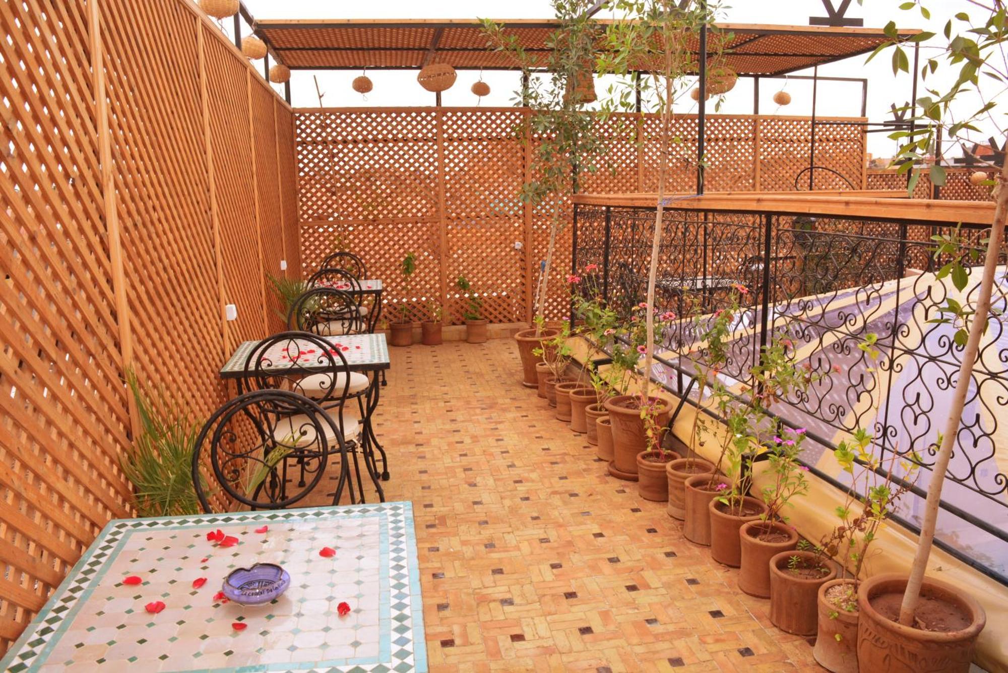Peace Marrakesh