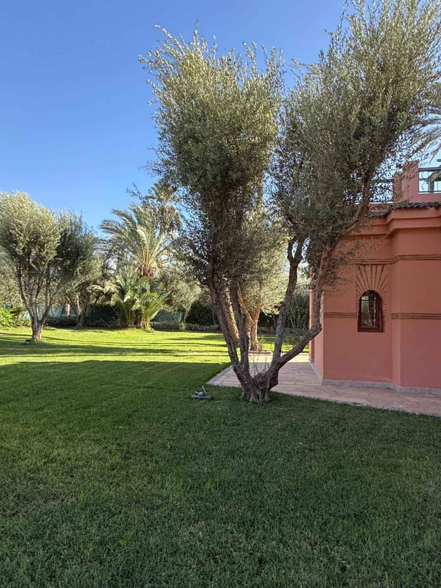 Luxury Heart Of Palmeraies Villa
