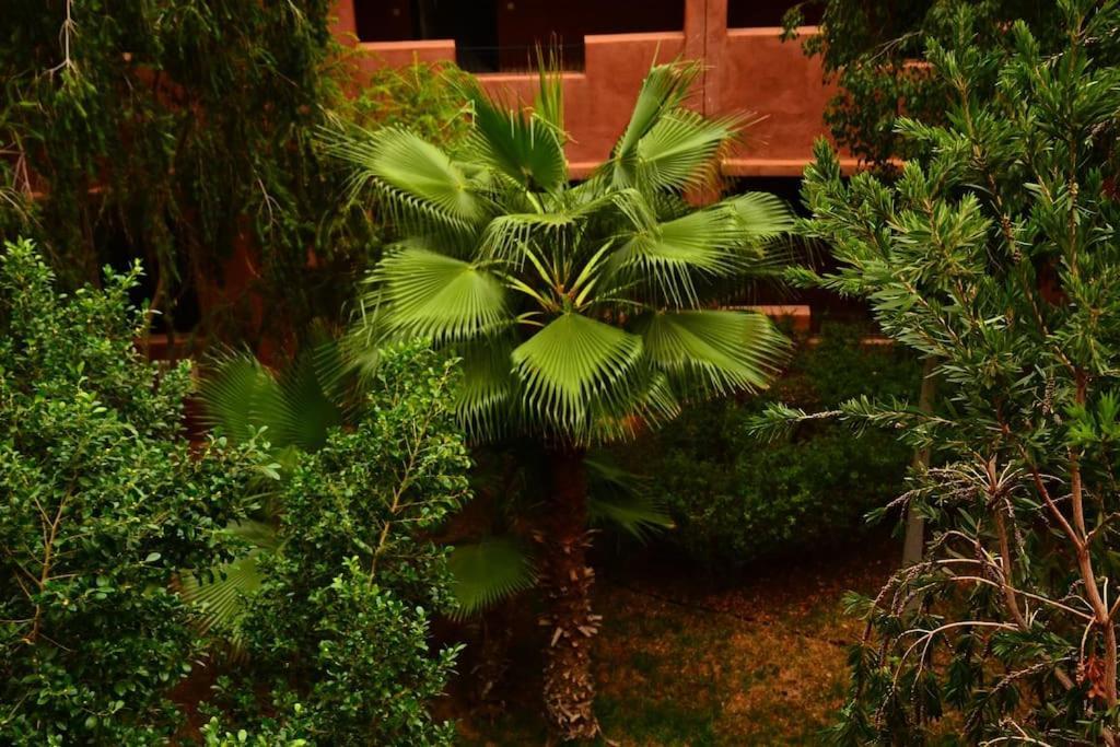 Appartement Oasis Aux Palmeraies A Marrakech *