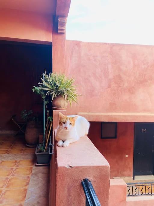 Oasis Aux Palmeraies A Marrakech Appartement Marrakesh