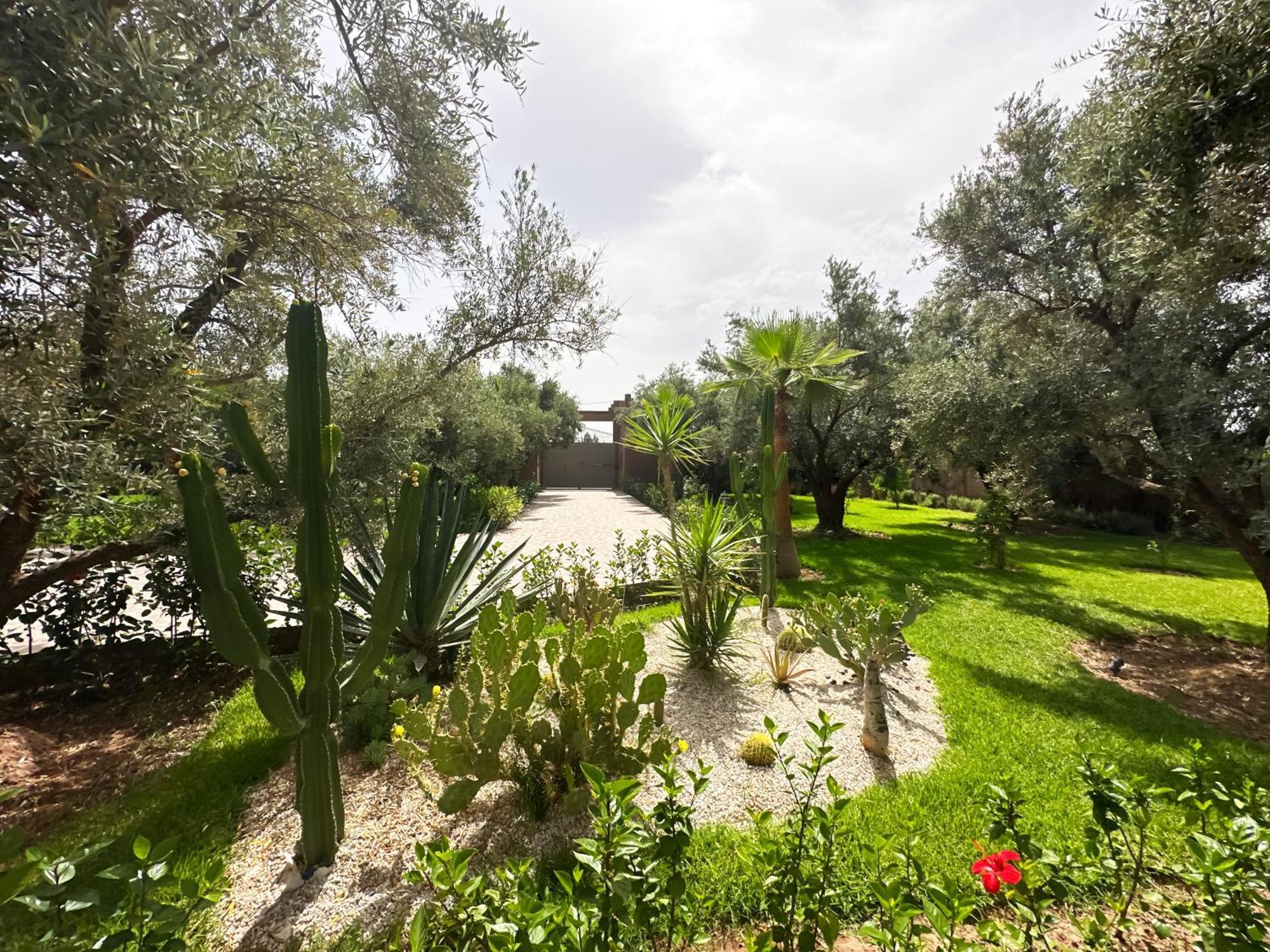 Kamelia & Piscine & Hammam Marrakesh