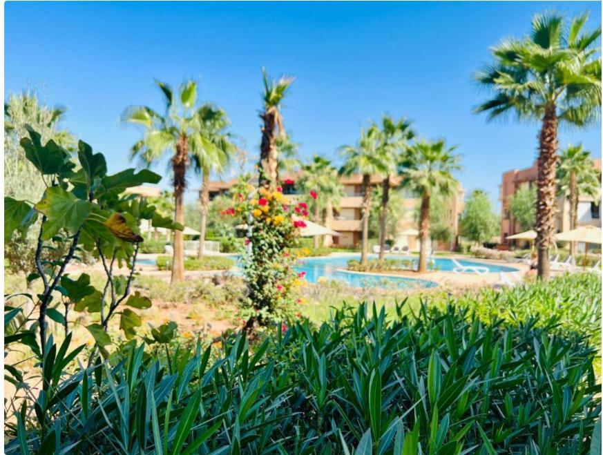 Prestigia Montgomery Golf Piscine Marrakech Marrakesh