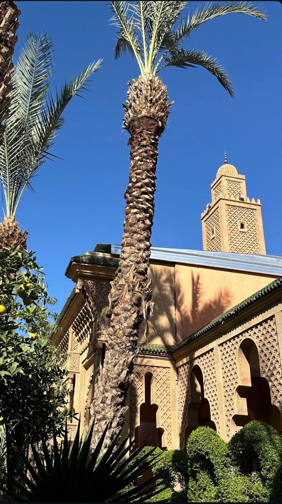 Appartement Majestic Marrakech