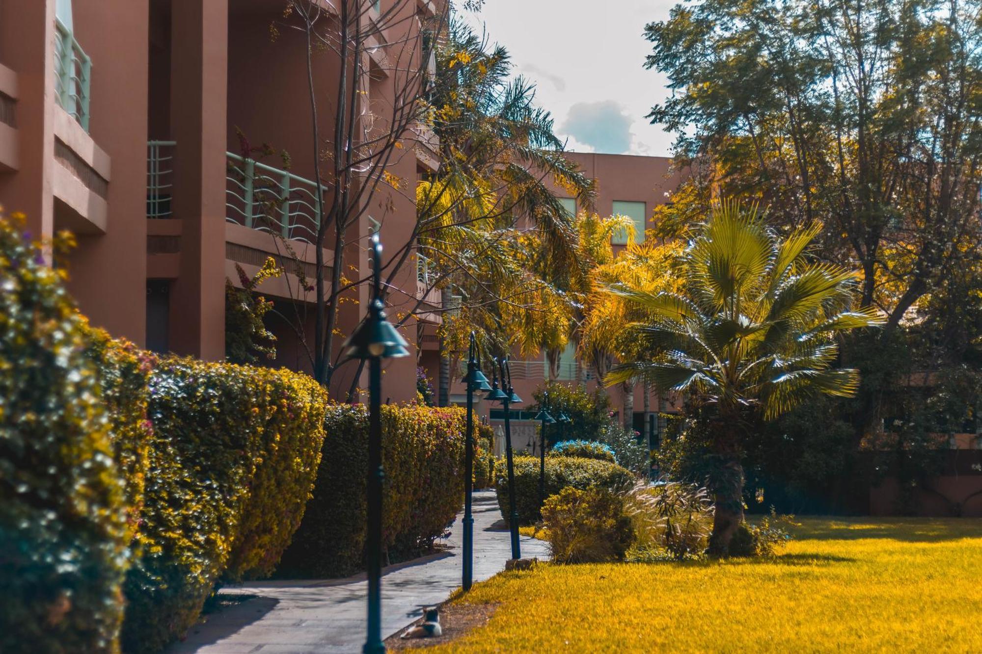 Marrakech Garden Tropical Escape * Marrakesh