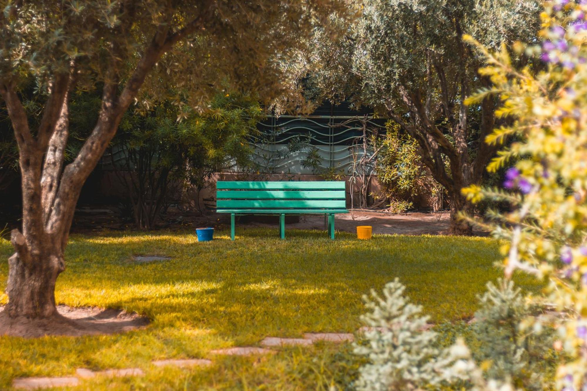 Marrakech Garden Tropical Escape