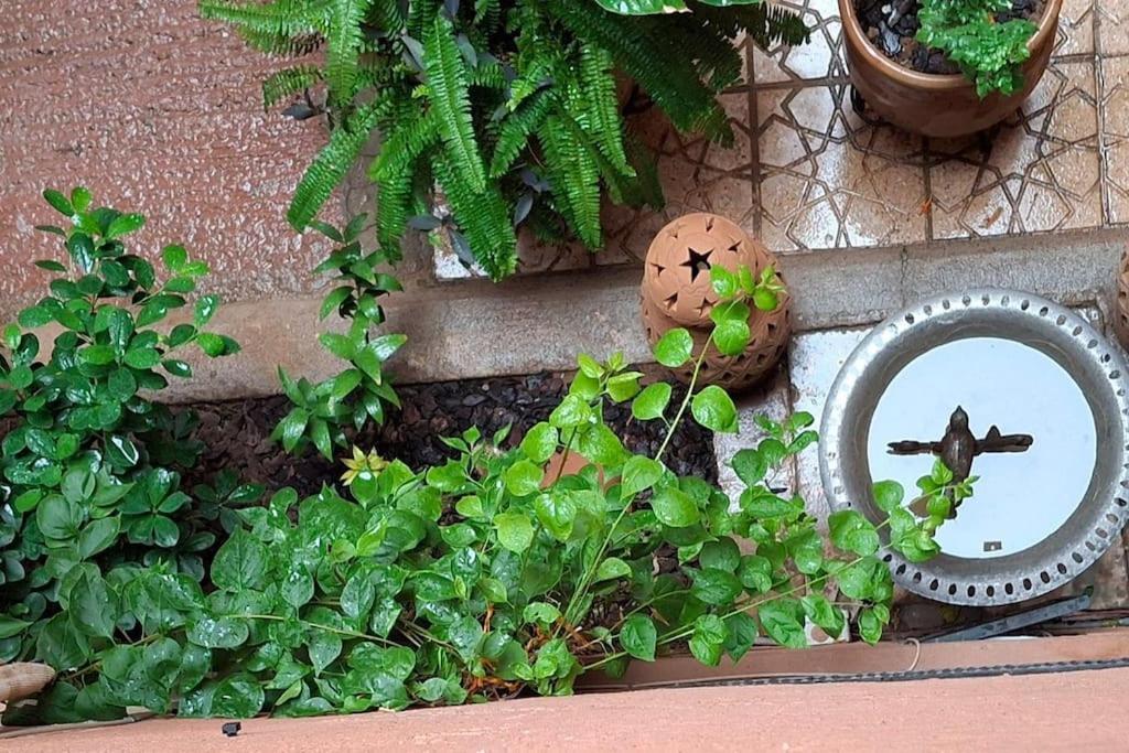 Hébergement de vacances Ladana Bienvenue Au Coeur De Marrakech Marrakesh