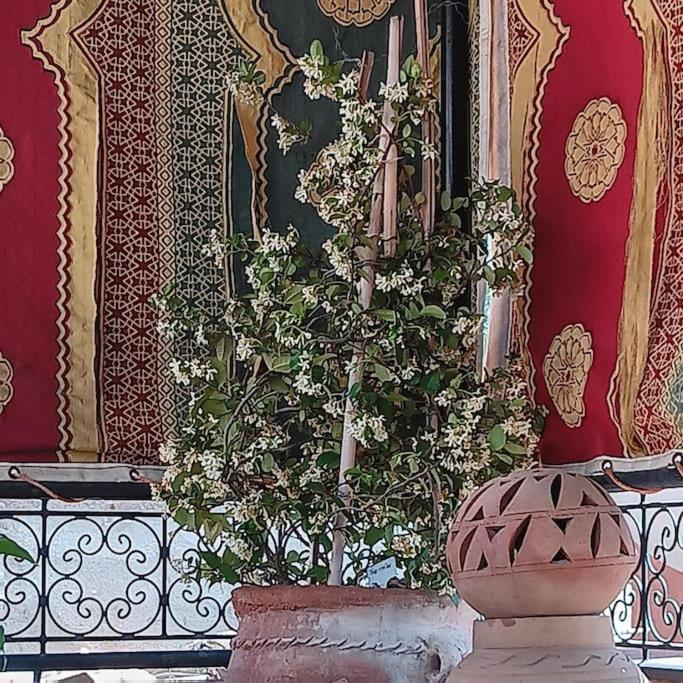 Hébergement de vacances Ladana Bienvenue Au Coeur De Marrakech