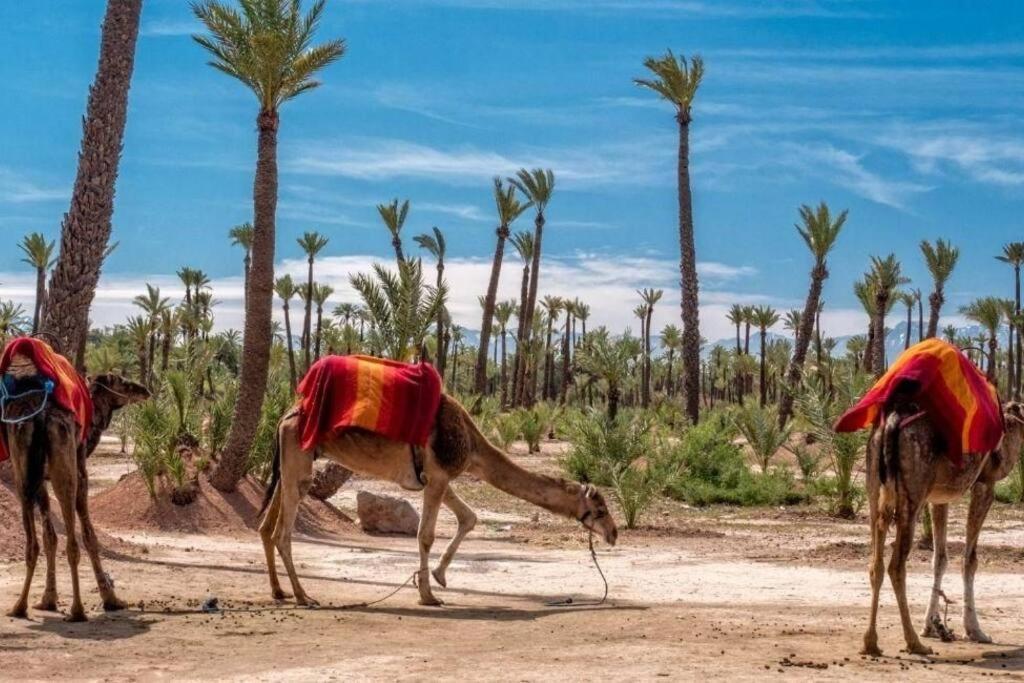 Feel At Heart Of Marrakech *