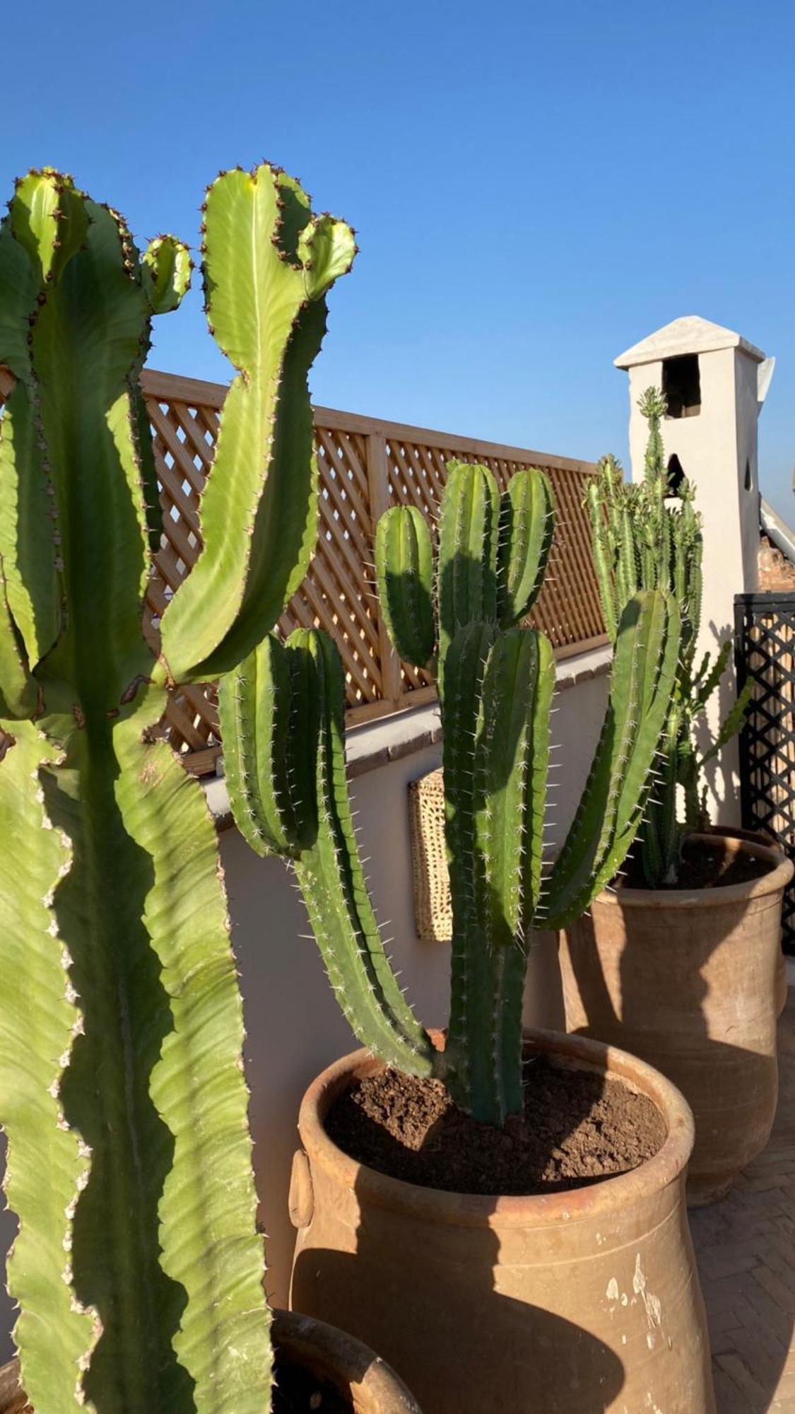 Gasaembre Touareg Villa *